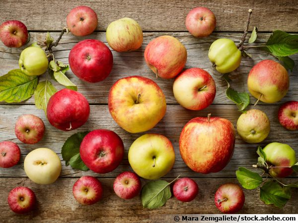 Différentes variétés de pommes