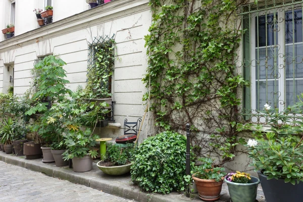 Composer un d&eacute;cor v&eacute;g&eacute;tal en pot urbain