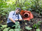 Top 10 des plantes les plus bizarres