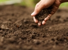 Respecter le sol du jardin