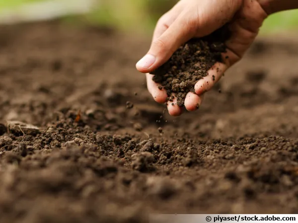 Respecter le sol de son jardin