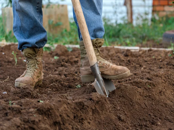 Ne retournez pas la terre de votre jardin ou de votre potager en automne