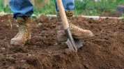 Jardinage en automne : pourquoi il vaut mieux �viter de retourner la terre