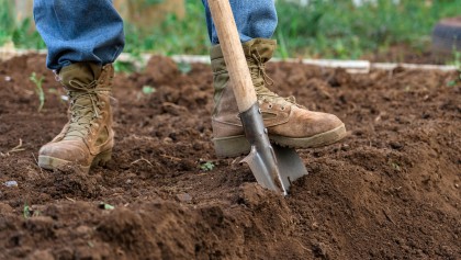 Jardinage en automne : pourquoi il vaut mieux �viter de retourner la terre