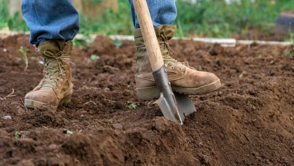 Jardinage en automne : pourquoi il vaut mieux �viter de retourner la terre