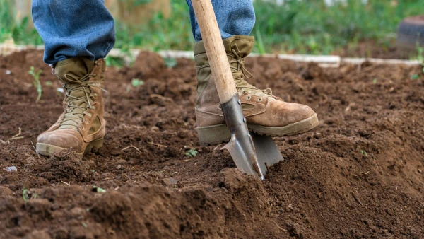 Ne retournez pas la terre de votre jardin ou de votre potager en automne