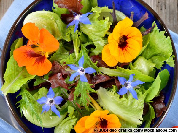 Les fleurs comestibles qui composent les salades