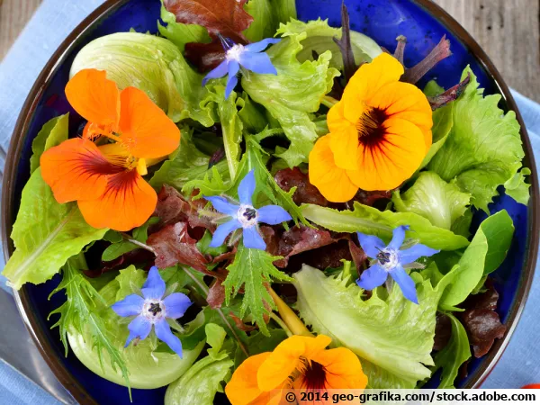 Salade de fleurs comestibles