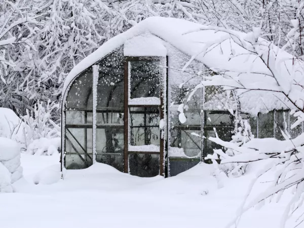 La serre froide en dcembre sous la neige