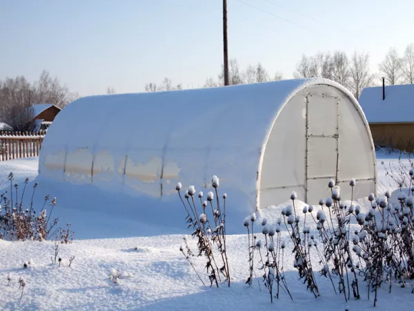 Dans la serre froide enneige en fvrier