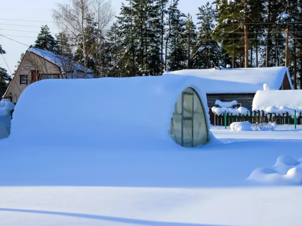 La serre froide en janvier