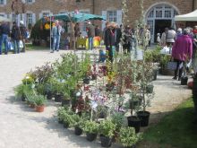 Foire aux plantes rares Foire aux plantes rares