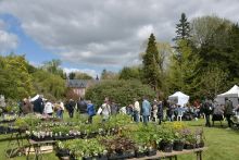 Fête des Plantes Aglaë Adanson Fête des Plantes Aglaë Adanson