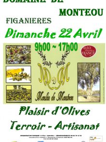 Plaisir d Olive Plaisir d Olive