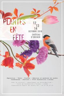 Plantes en Fête Plantes en Fête