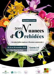 500 Nuances d'Orchidées 500 Nuances d'Orchidées