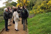 L'Odyssée des Mimosas au Domaine du Rayol L'Odyssée des Mimosas au Domaine du Rayol