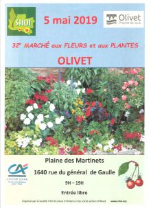 Marché aux fleurs et aux plantes Marché aux fleurs et aux plantes