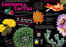 Salon des cactus, succulentes et plantes adaptées à la sécheresse Salon des cactus, succulentes et plantes adaptées à la sécheresse