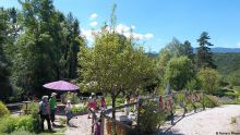 Journée Portes Ouvertes à Terre vivante - 2019, zéro phyto ! Journée Portes Ouvertes à Terre vivante - 2019, zéro phyto !