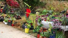 Vide jardin Vide jardin
