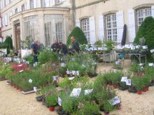 Foire aux plantes rares Foire aux plantes rares