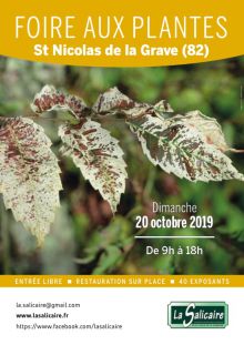 Foire aux plantes rares et de collection Foire aux plantes rares et de collection