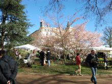 Foire aux plantes Foire aux plantes