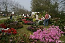 Journées des plantes Franco-Britanniques Journées des plantes Franco-Britanniques