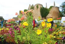 Fête des plantes 10 ème anniversaire Fête des plantes 10 ème anniversaire