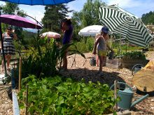 Les Mercredis des enfants à Terre vivante Les Mercredis des enfants à Terre vivante