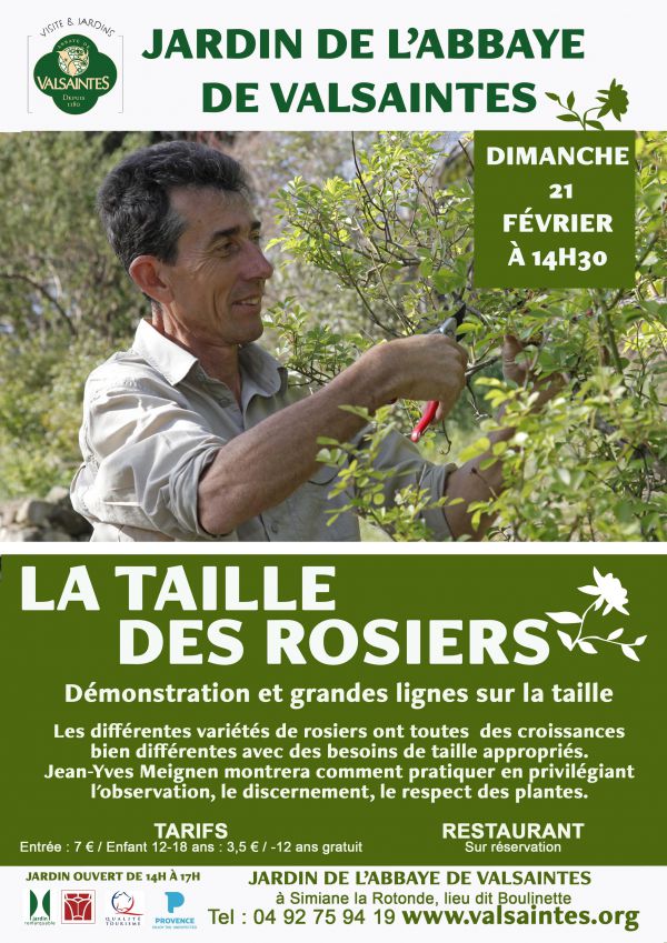 La taille des rosiers