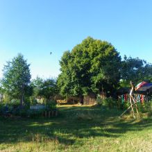 Cours de conception en permaculture