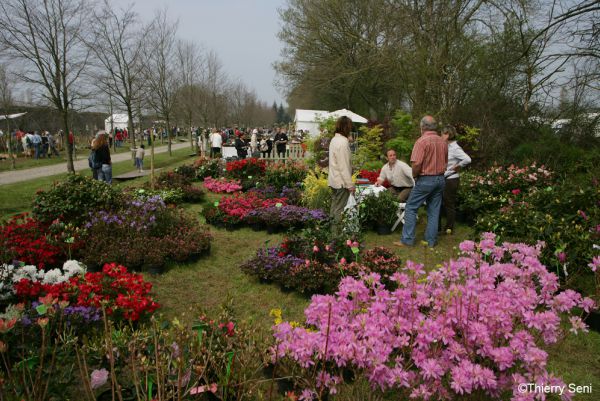 Journées des plantes Fanco-Britanniques