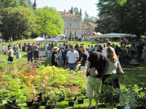 Plantes et fleurs en fête