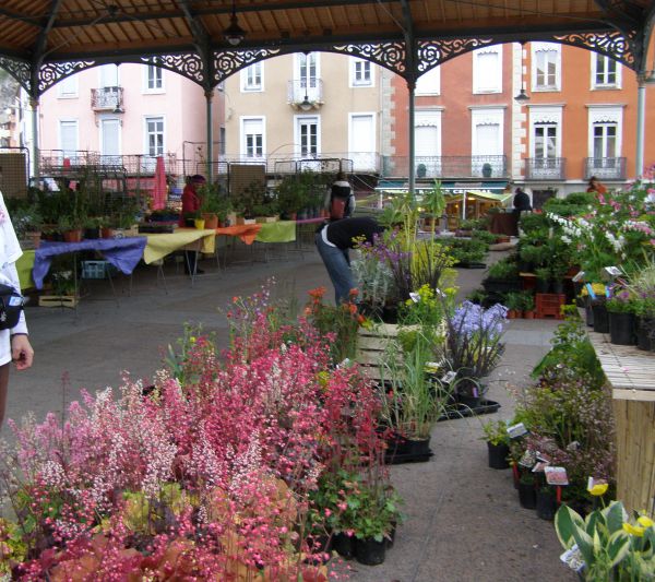 Fete des plantes
