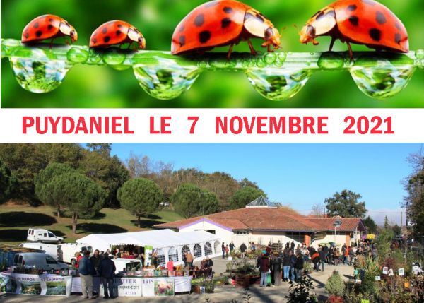 Foire d'automne