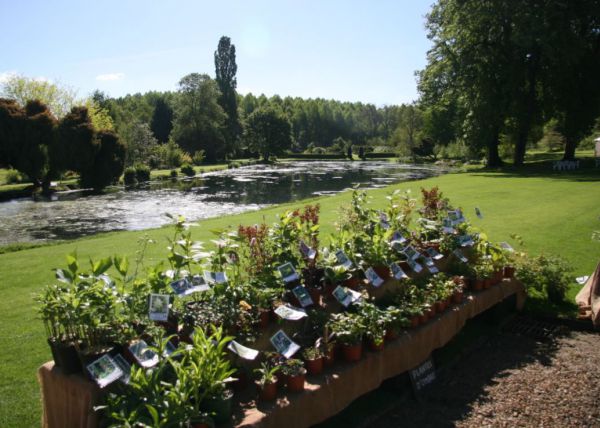Marché aux plantes et produits du terroir