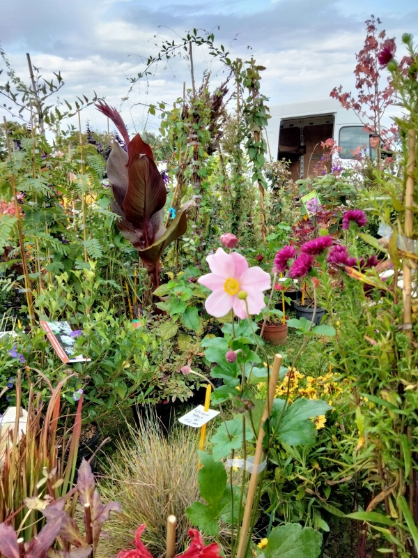 32mes Florales du PETR du Pays du Ruffcois