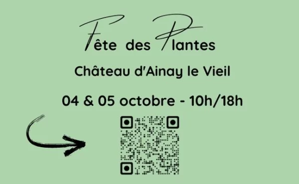 Fte des plantes dans la haute cour du chateau 