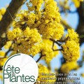 F�te des plantes de Printemps 2026