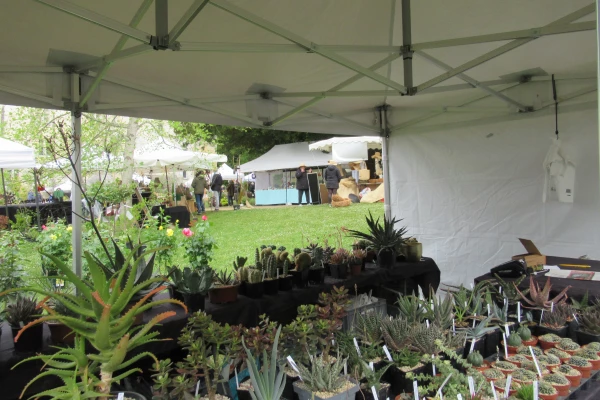 Courtanvaux C�t� Jardin