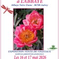 Plantes en f�te � l'Abbaye d'Autrey