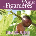 F�te de la figue