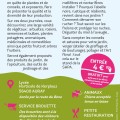 Plantes en F�te