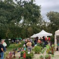 Jardins et Saveurs d'Automne