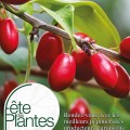 F�te des plantes d'automne