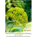 Journ�e des plantes insolites