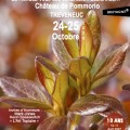 F�te des jardins au ch�teau de Pommorio