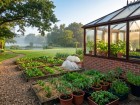 5 jours de patience : pourquoi attendre mercredi pour planter vos fleurs d'�t�